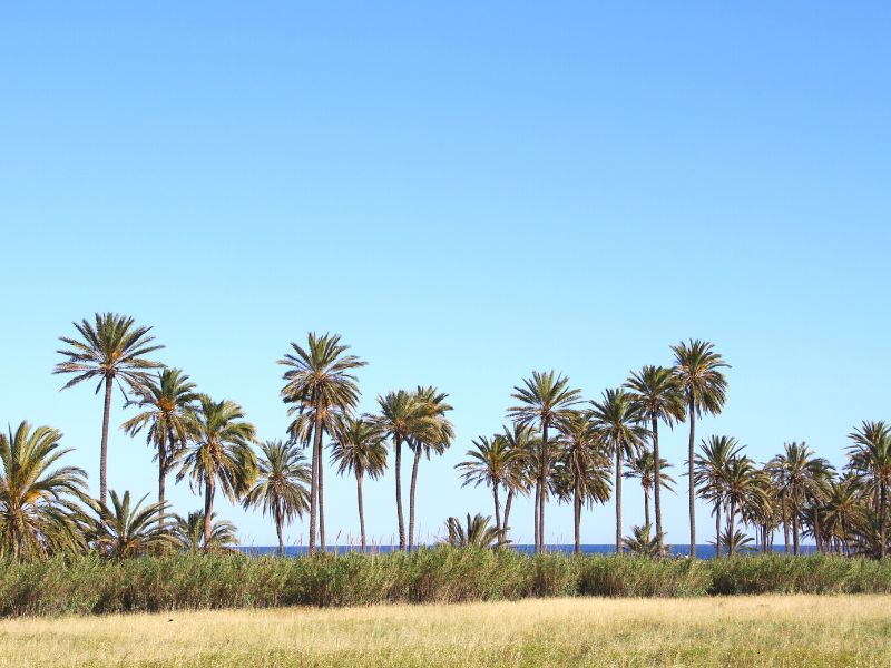 Torrevieja - Costa Blanca Zuid