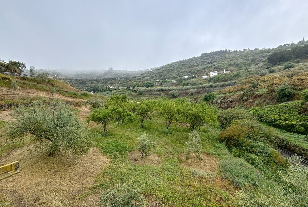 Commercieel vastgoed te koop in Arenas