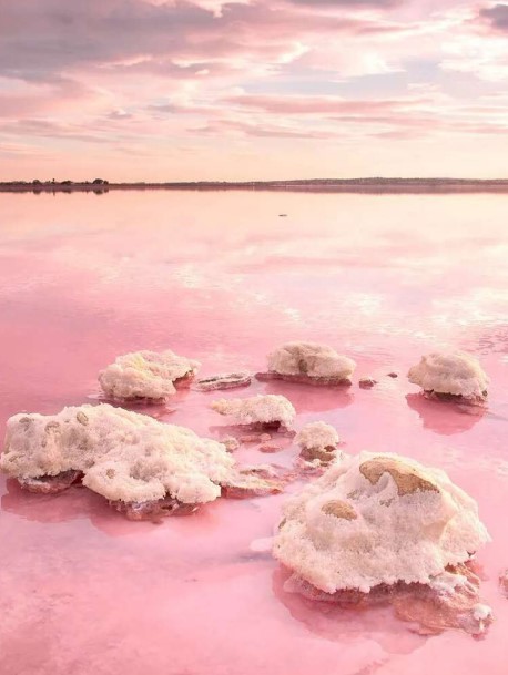 DP-110-23575736-01-5