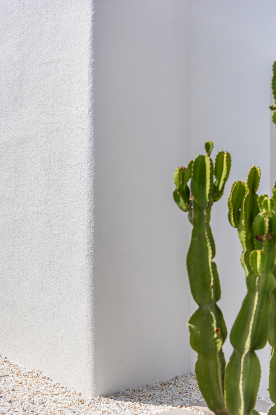 DP-110-16050971-01-45