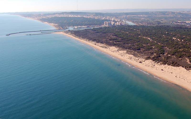 DP-110-17401005-01-20