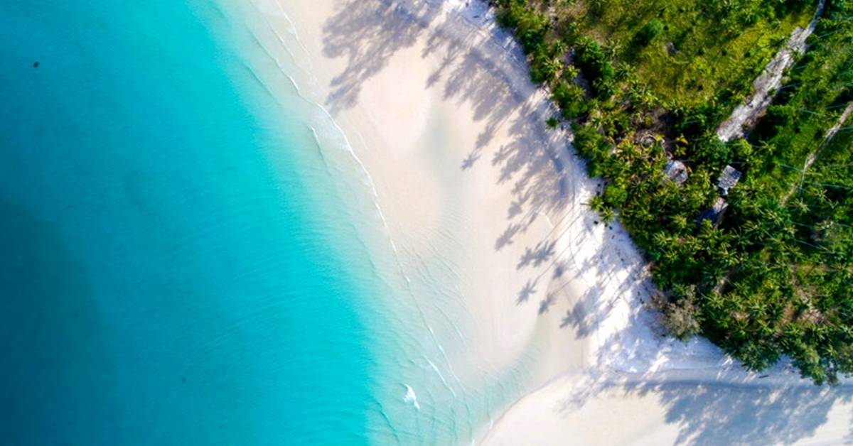 DP-110-18626018-01-19