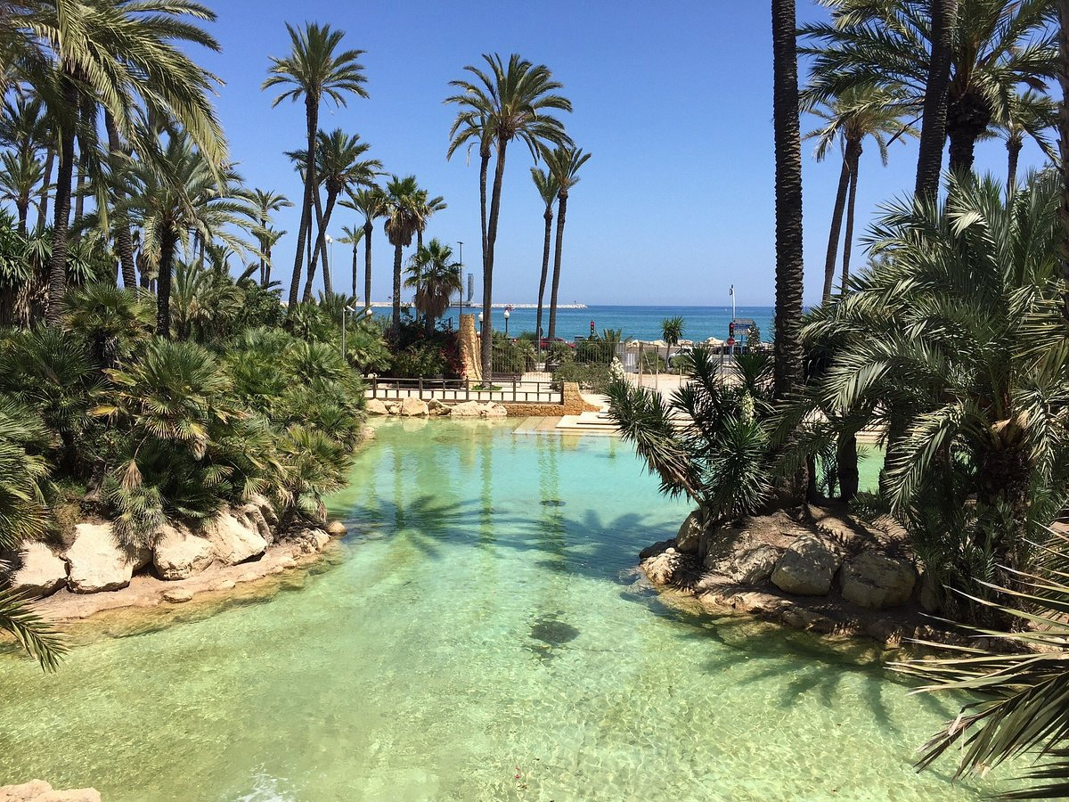 DP-110-18626018-01-3