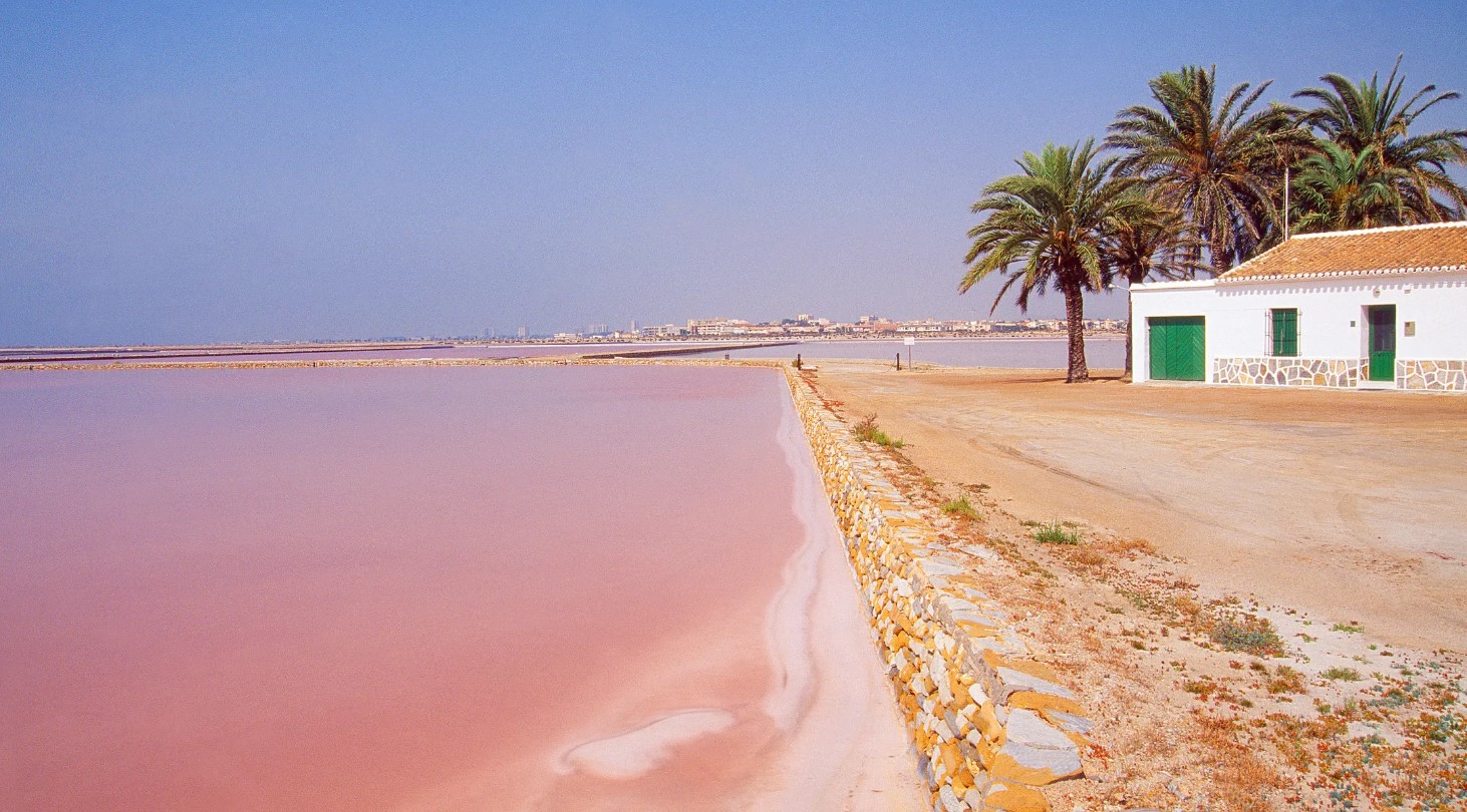 DP-110-28548925-01-5