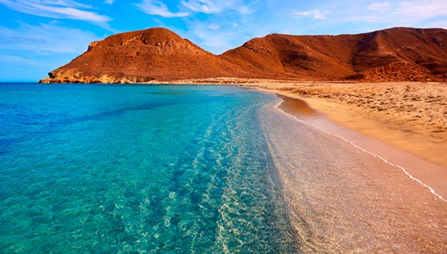 DP-110-31564188-01-17