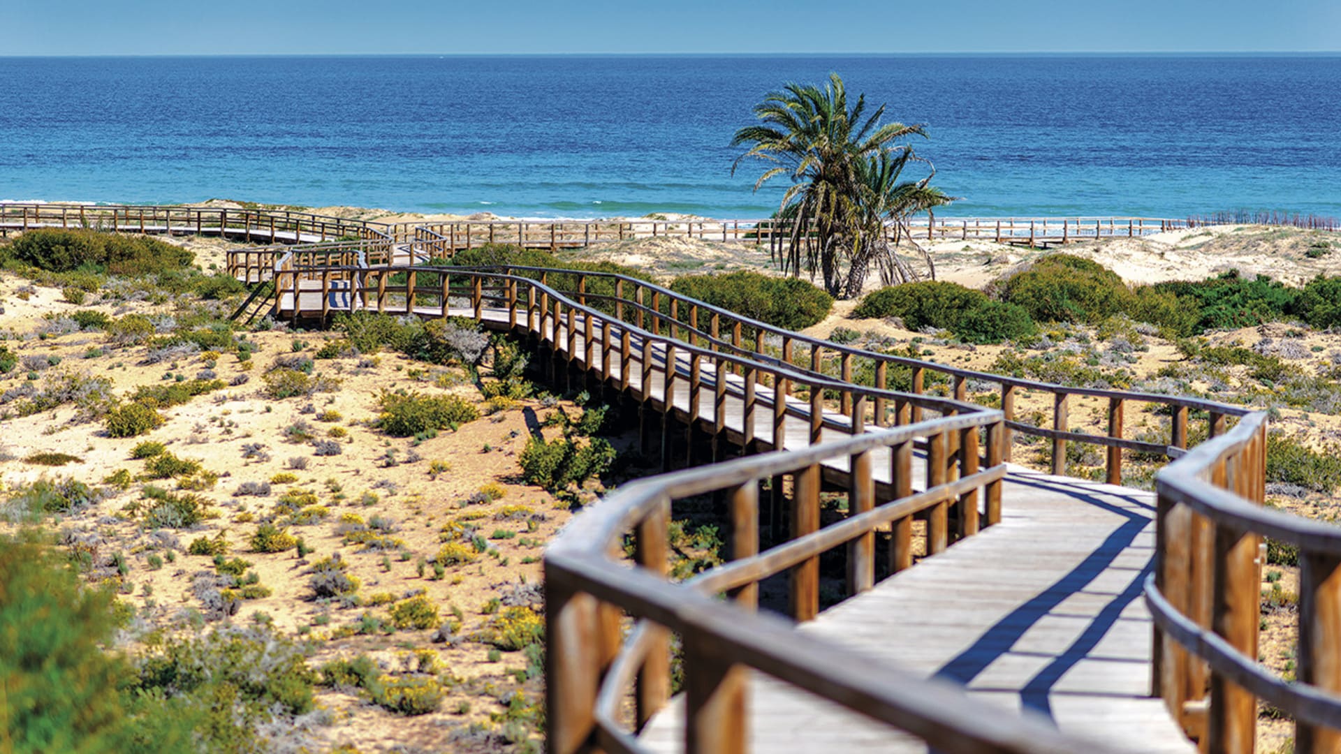 DP-110-33311219-01-19