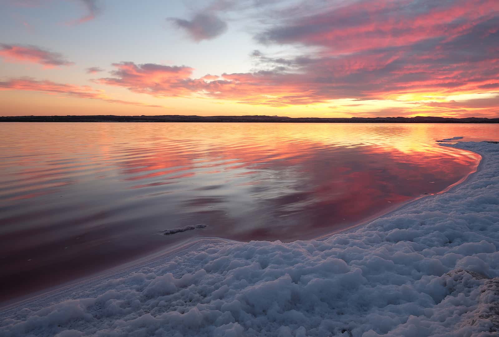 DP-110-33957107-01-19