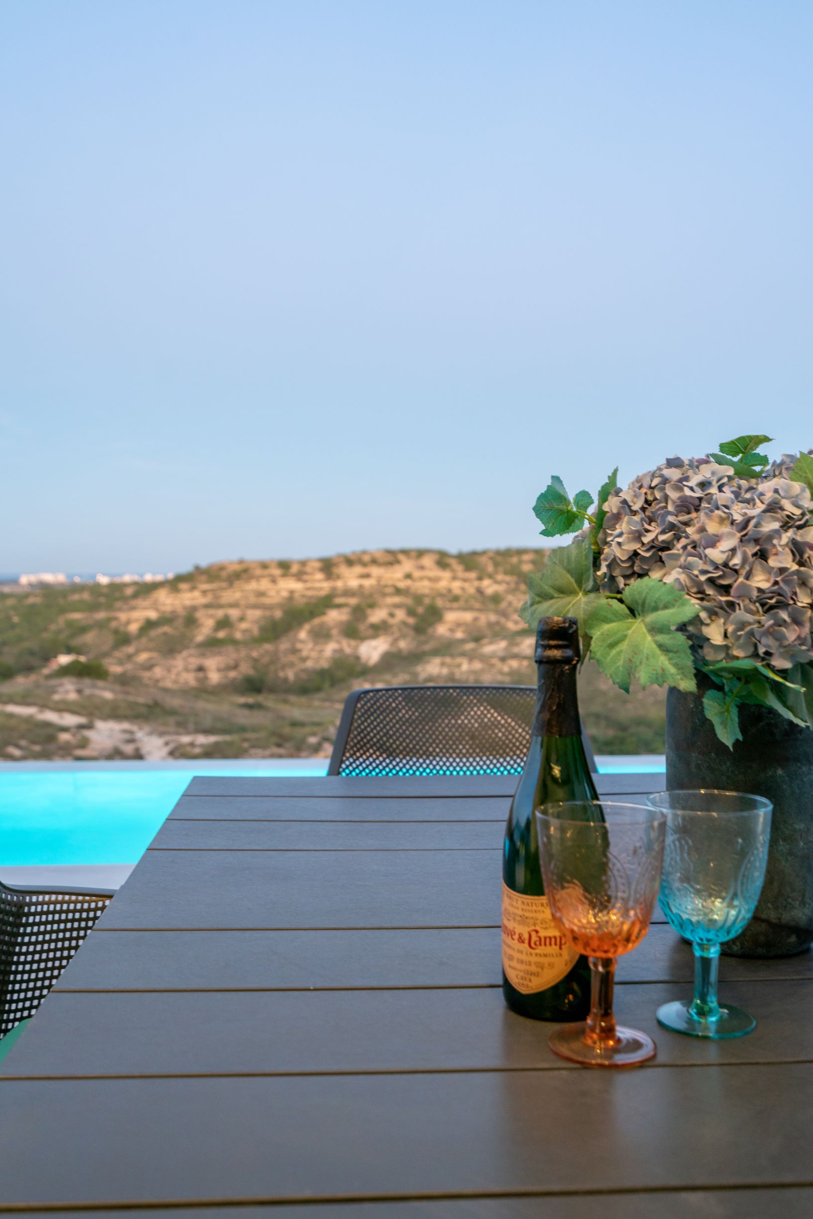 DP-110-34560558-01-3