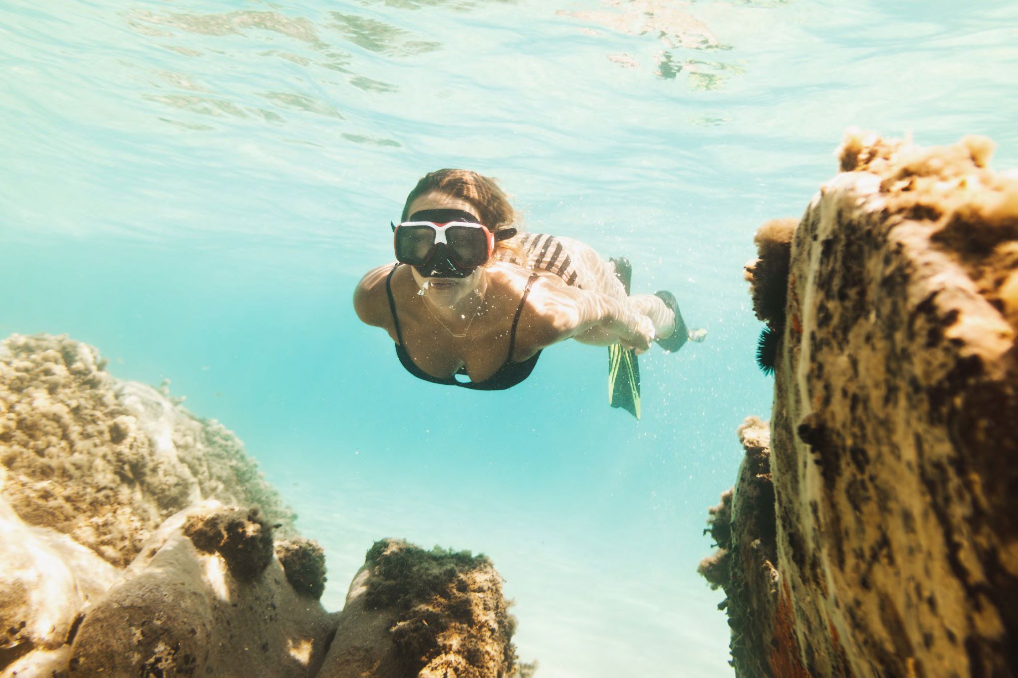 DP-110-37756457-01-16