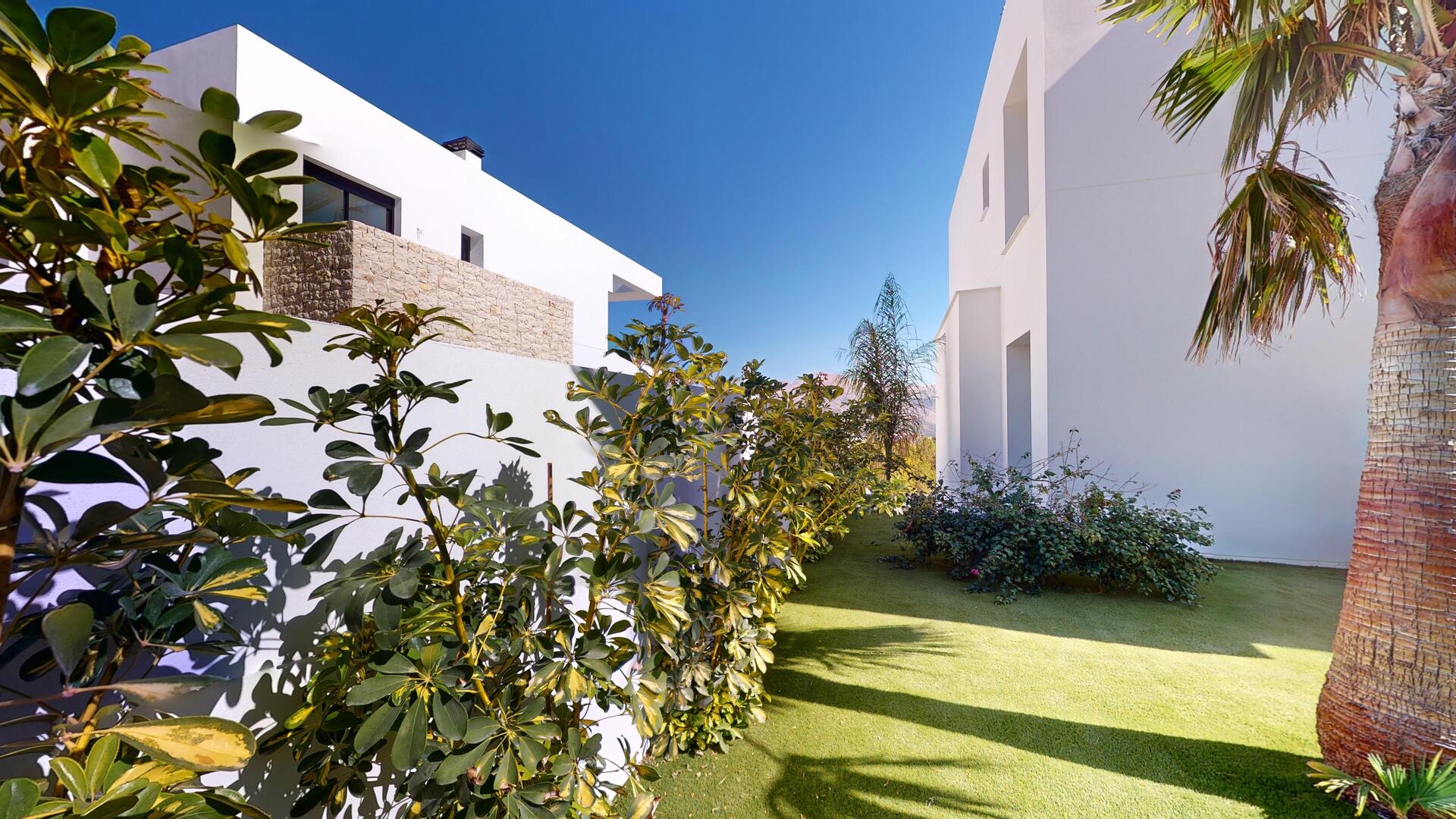 DP-110-41906477-01-38