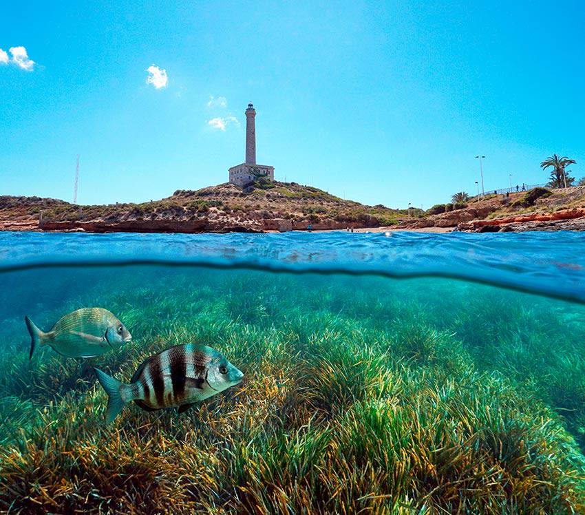 DP-110-51013787-01-6