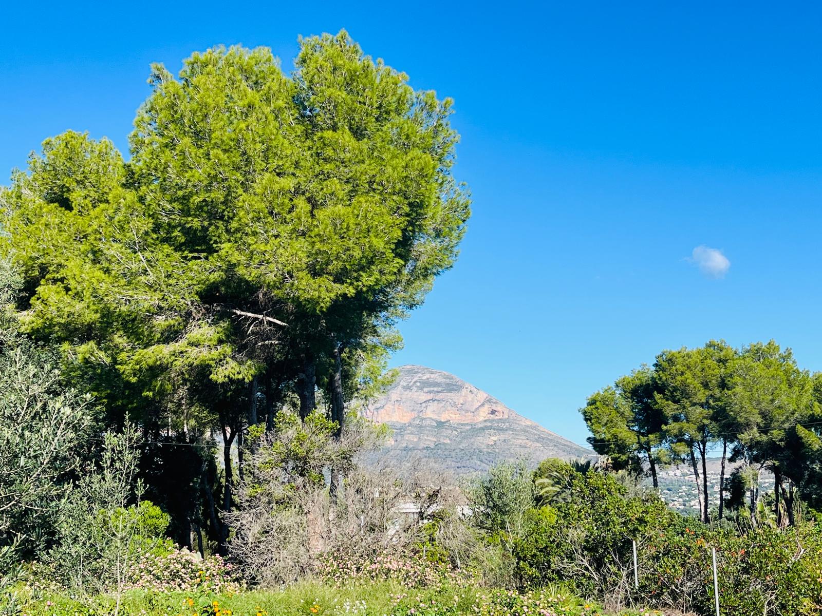 DP-02-ENJ-PL-00068-D-10