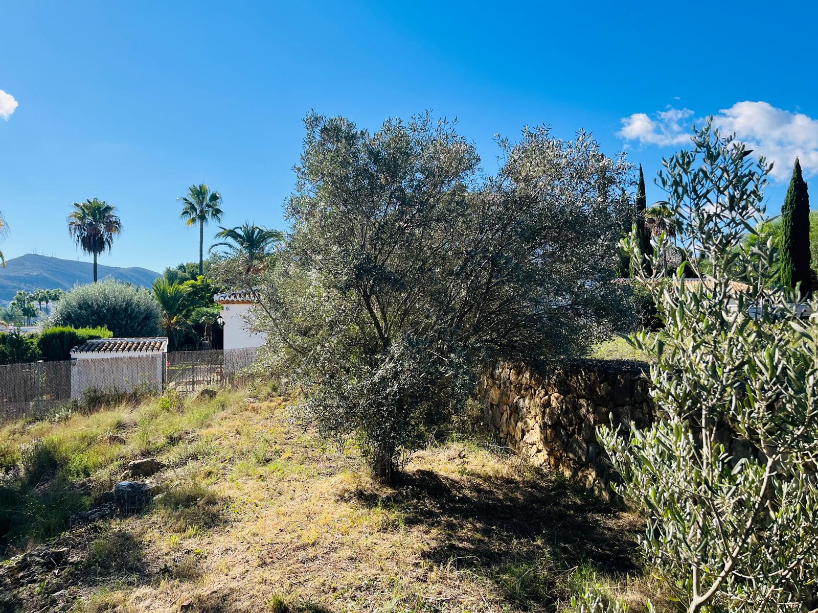 DP-02-ENJ-PL-00068-D-9