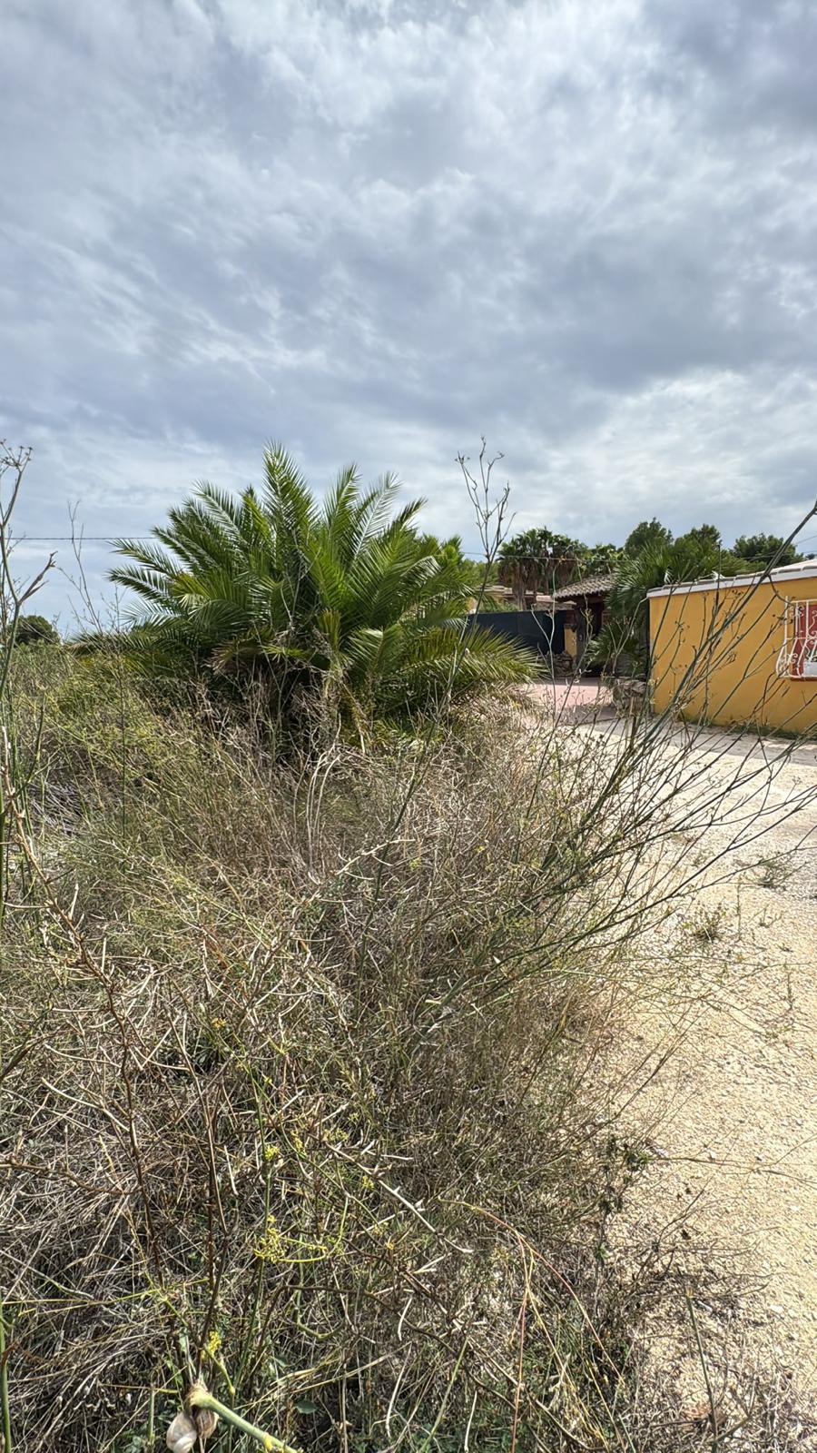 DP-02-ENJ-PL-00071-D-1