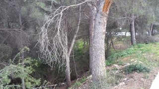 DP-02-ENJ-PL-00092-D-6