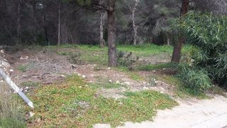 DP-02-ENJ-PL-00092-D-9