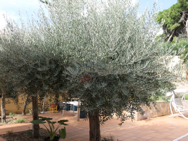 Villa te koop in Platja D’aro
