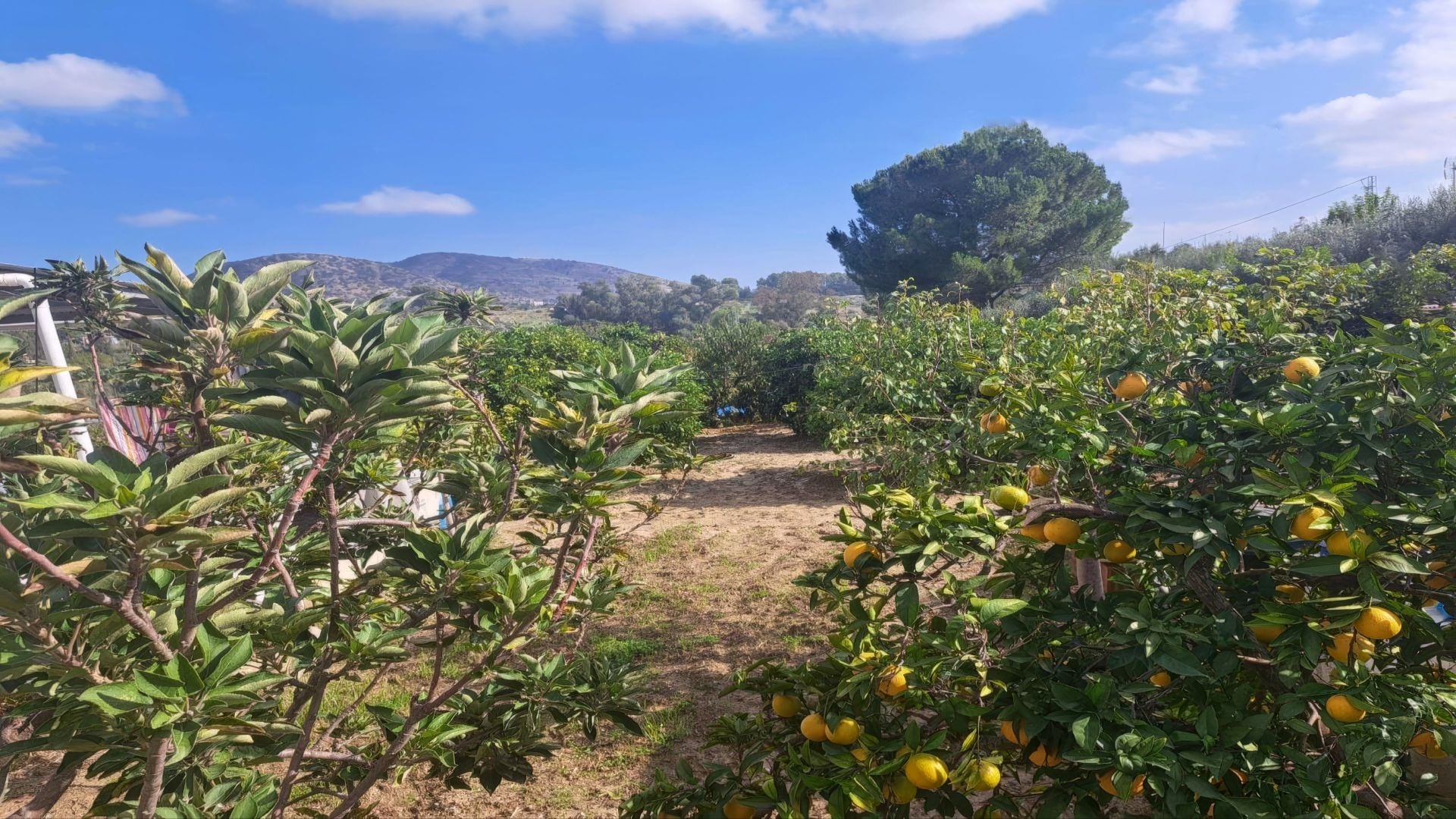 Finca te koop in Alhaurín el Grande