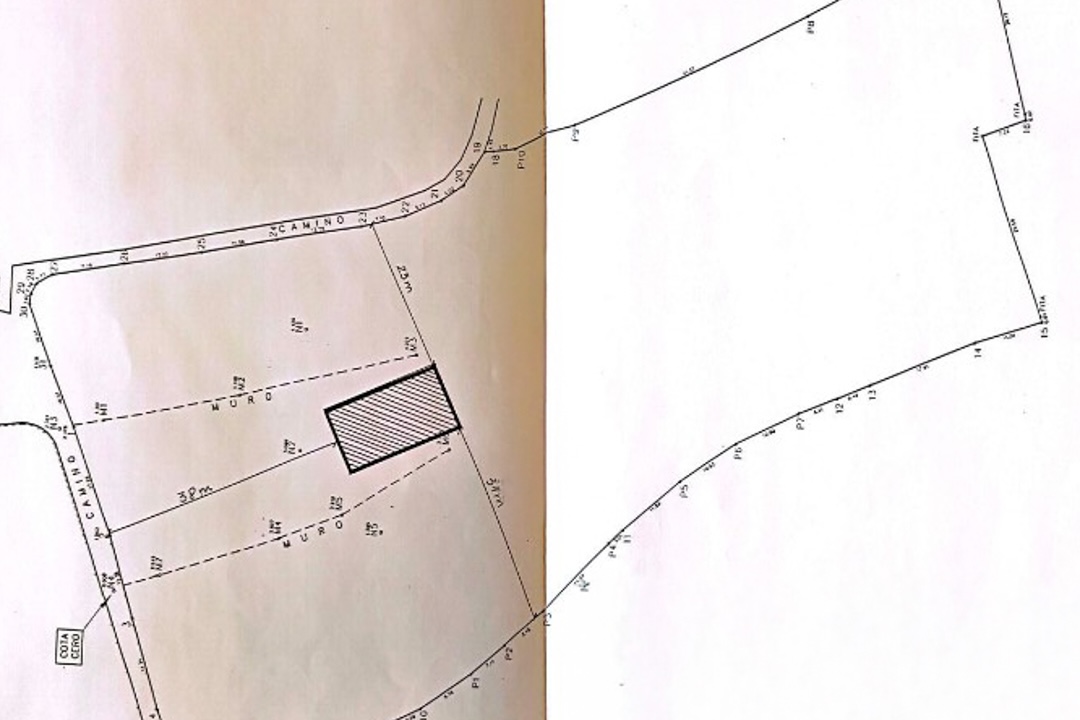DP-40-C3XY4251BELL-36