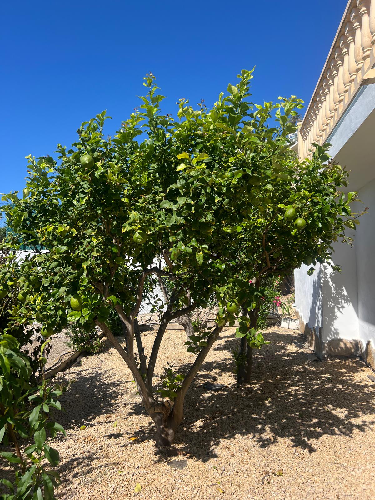 Ruime villa met zeezicht te koop in Moraira