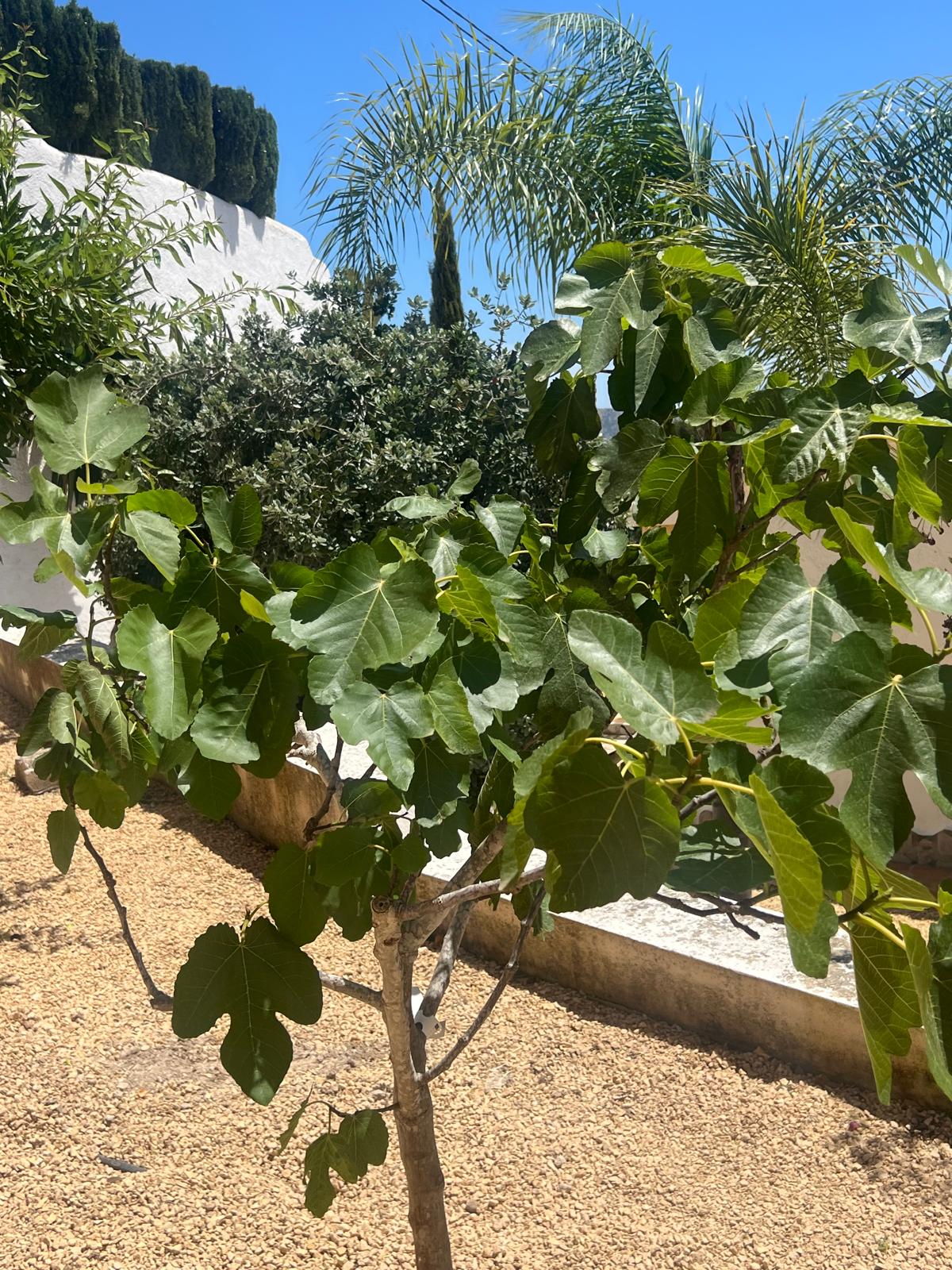 Ruime villa met zeezicht te koop in Moraira