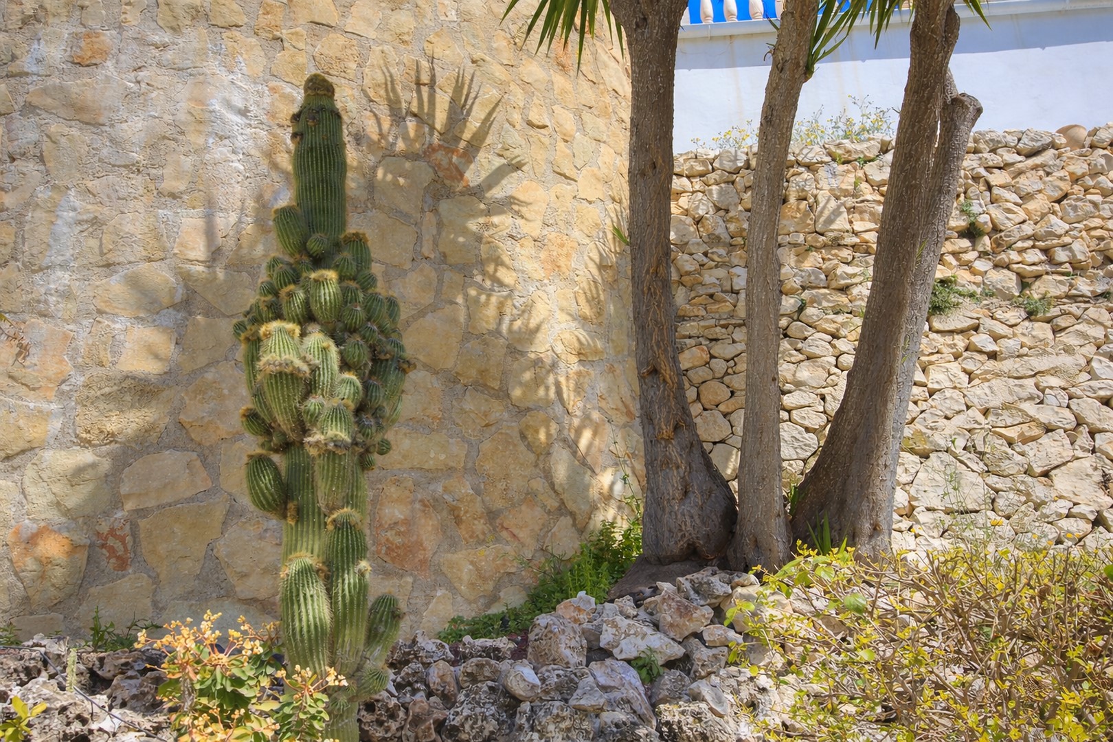 Charmante villa met zeezicht aan de kust van Benissa