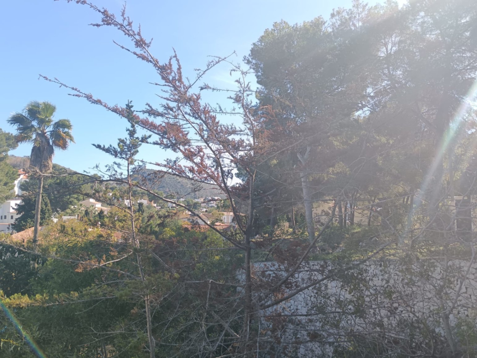 Nieuw te bouwen villa moderne in Moraira – El Portet