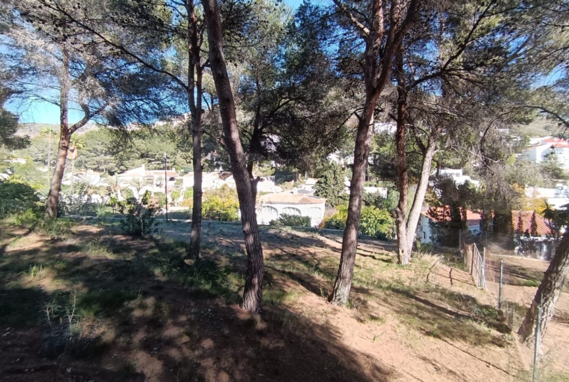 1170