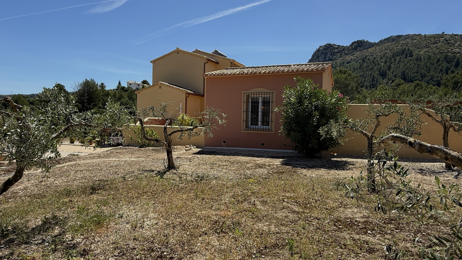 DP-31-AS-1026-15 Uitzonderlijke finca met olijfgaard te koop in Orba