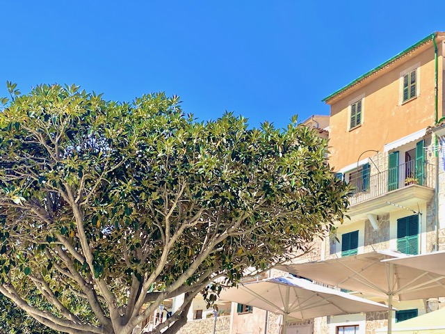 DP-64-rh-7324-propert-1 Appartement te koop in Port de Soller – Mallorca