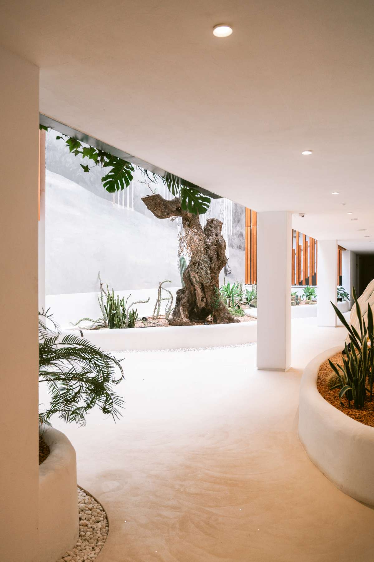Appartement te koop in Playa D’en Bossa – Ibiza