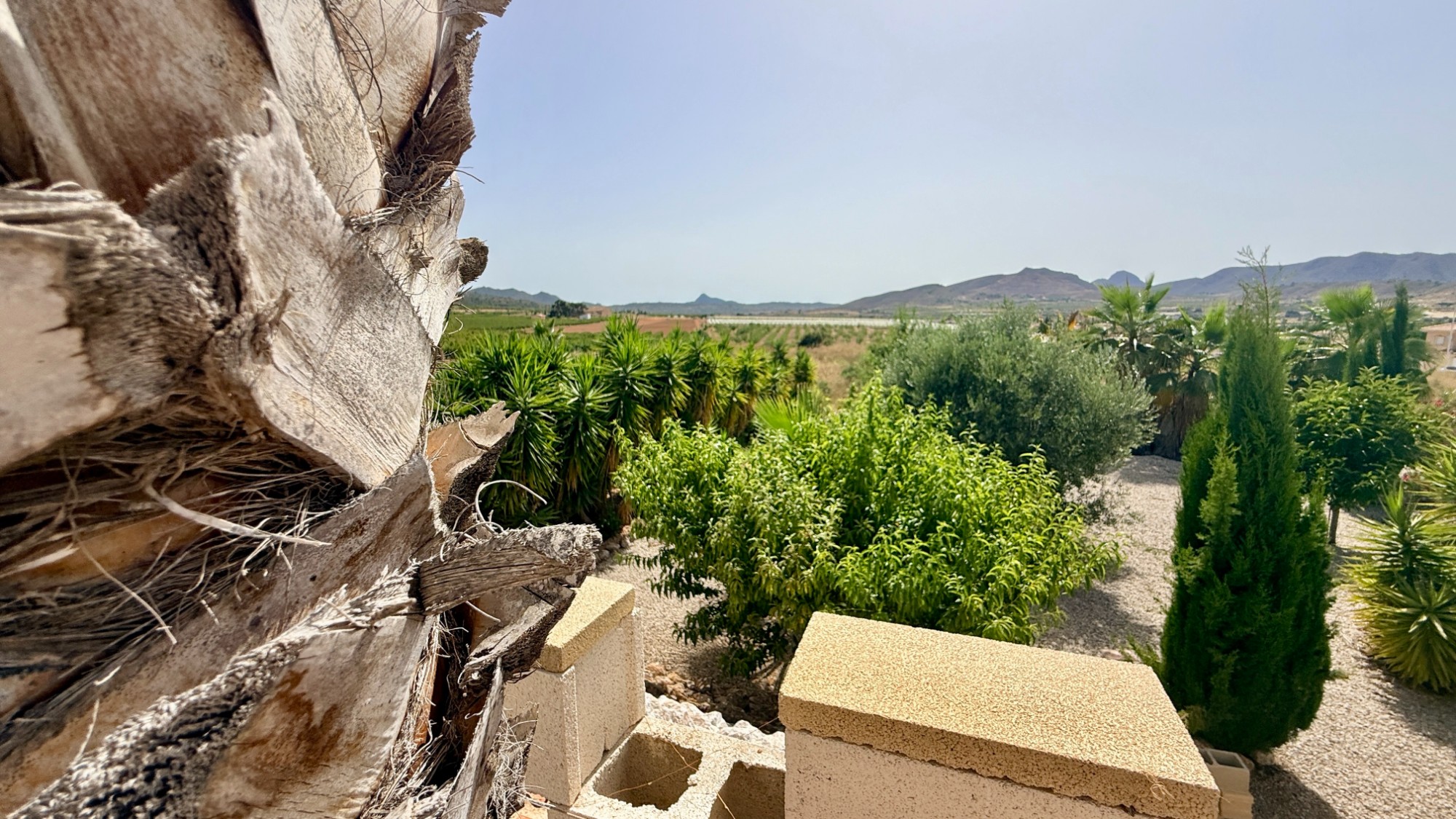 Indrukwekkende villa met gastenverblijven en panoramisch uitzicht in Hondón de las Nieves