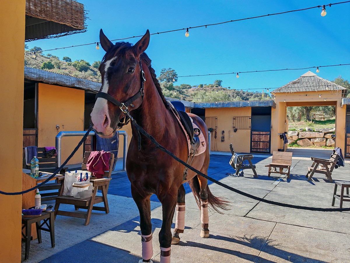 Schitterende finca te koop in Coín