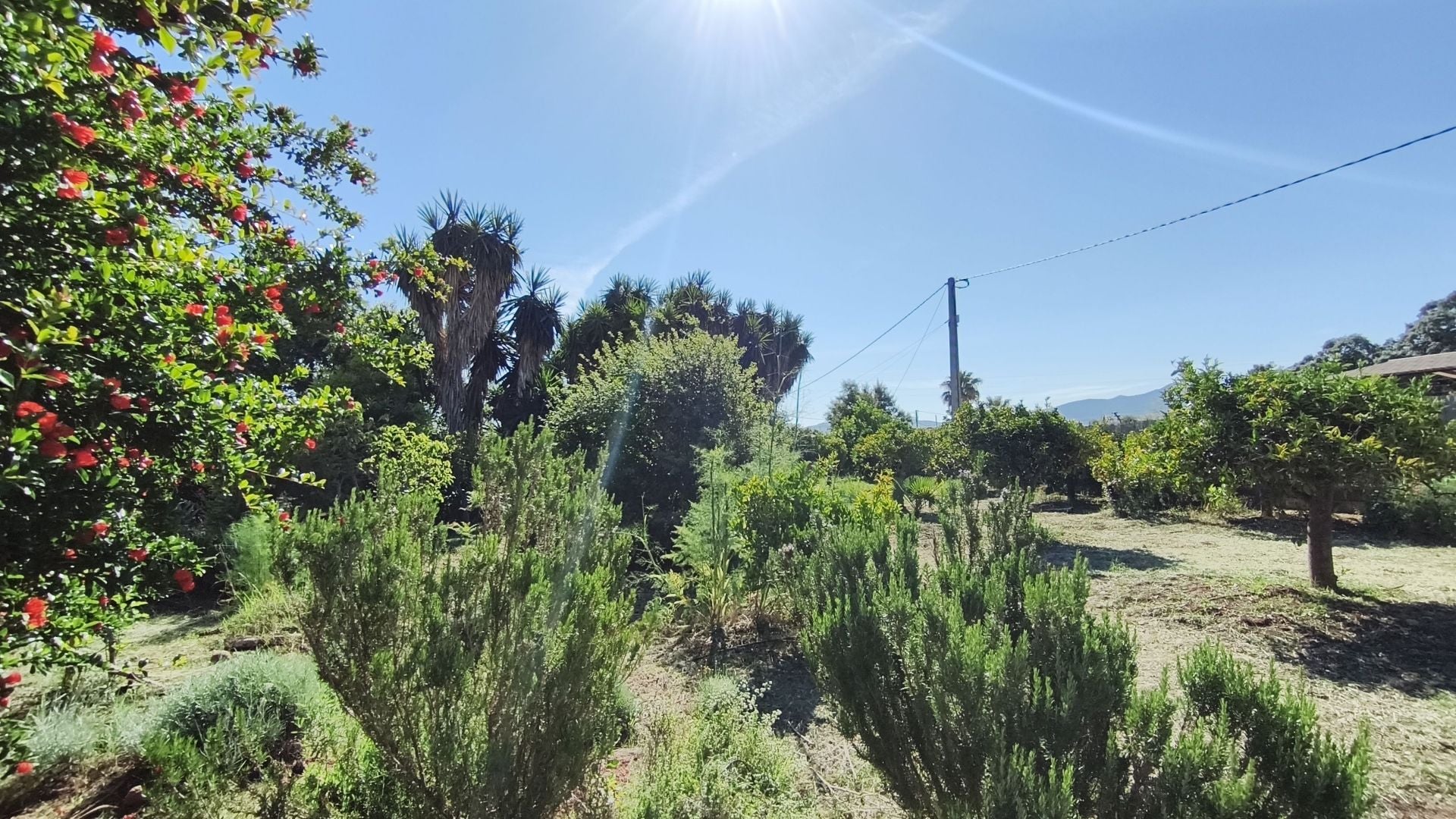 Finca te koop in Alhaurín el Grande