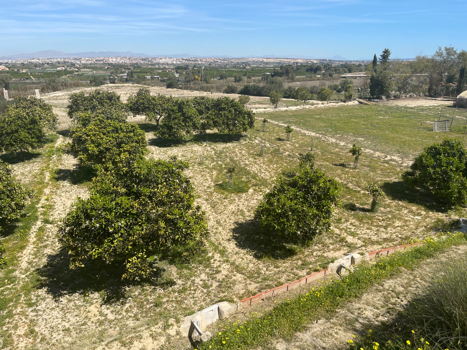 Villa te koop in Guardamar del Segura