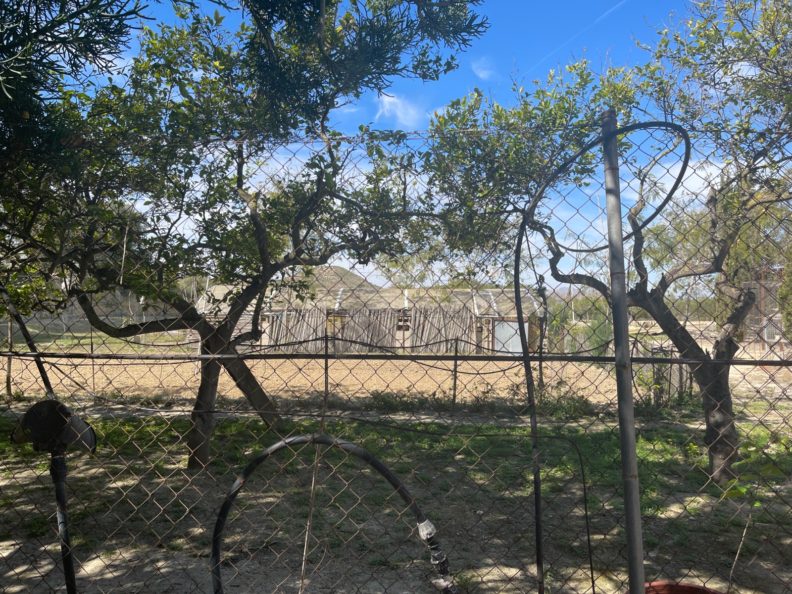 Villa te koop in Guardamar del Segura