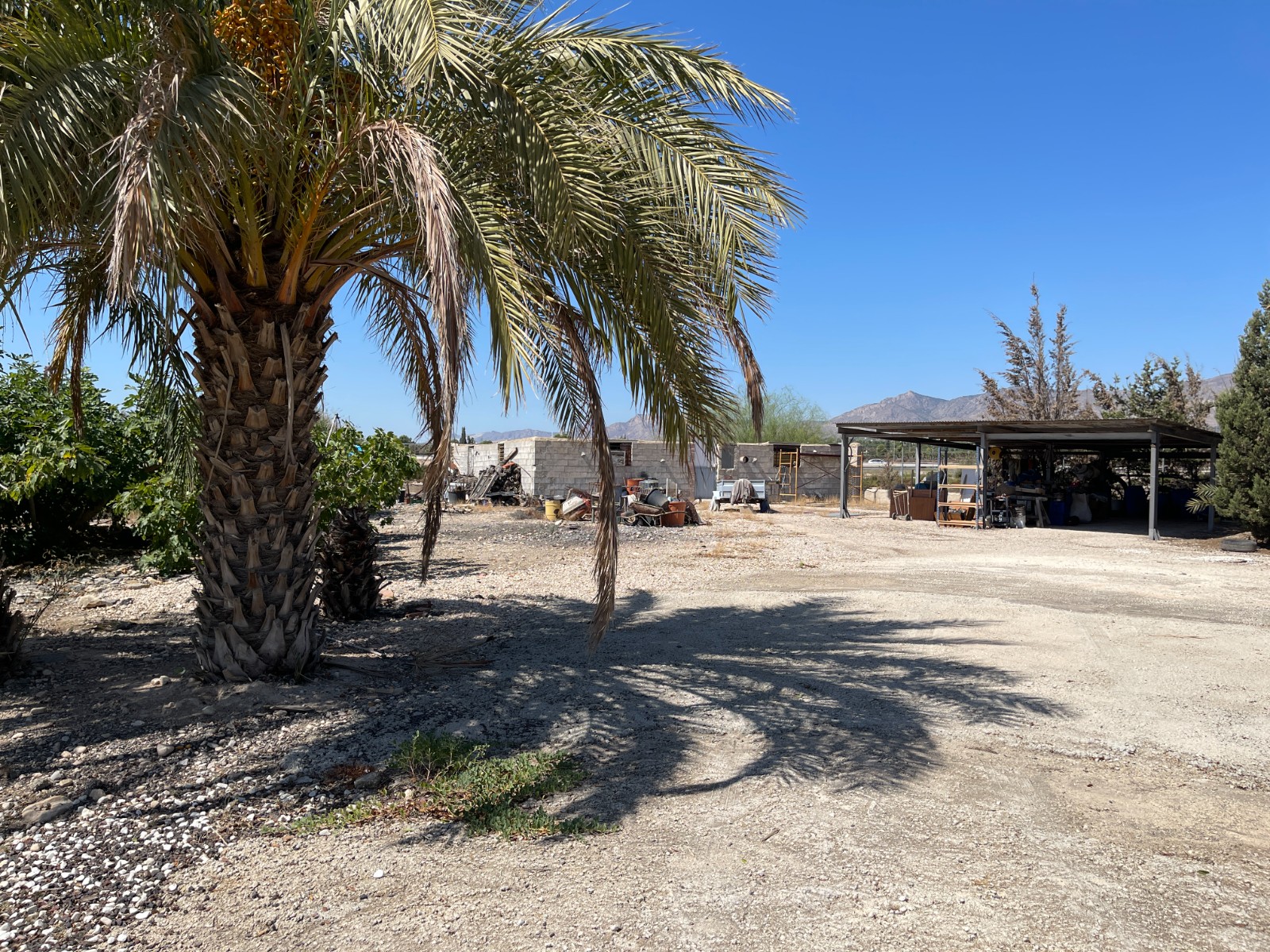 Villa te koop in Crevillente