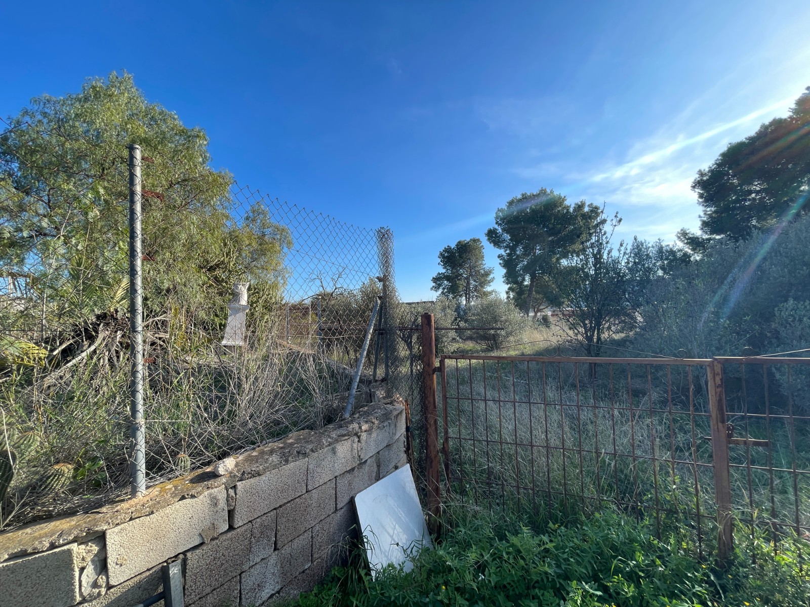 Finca te koop in Aspe