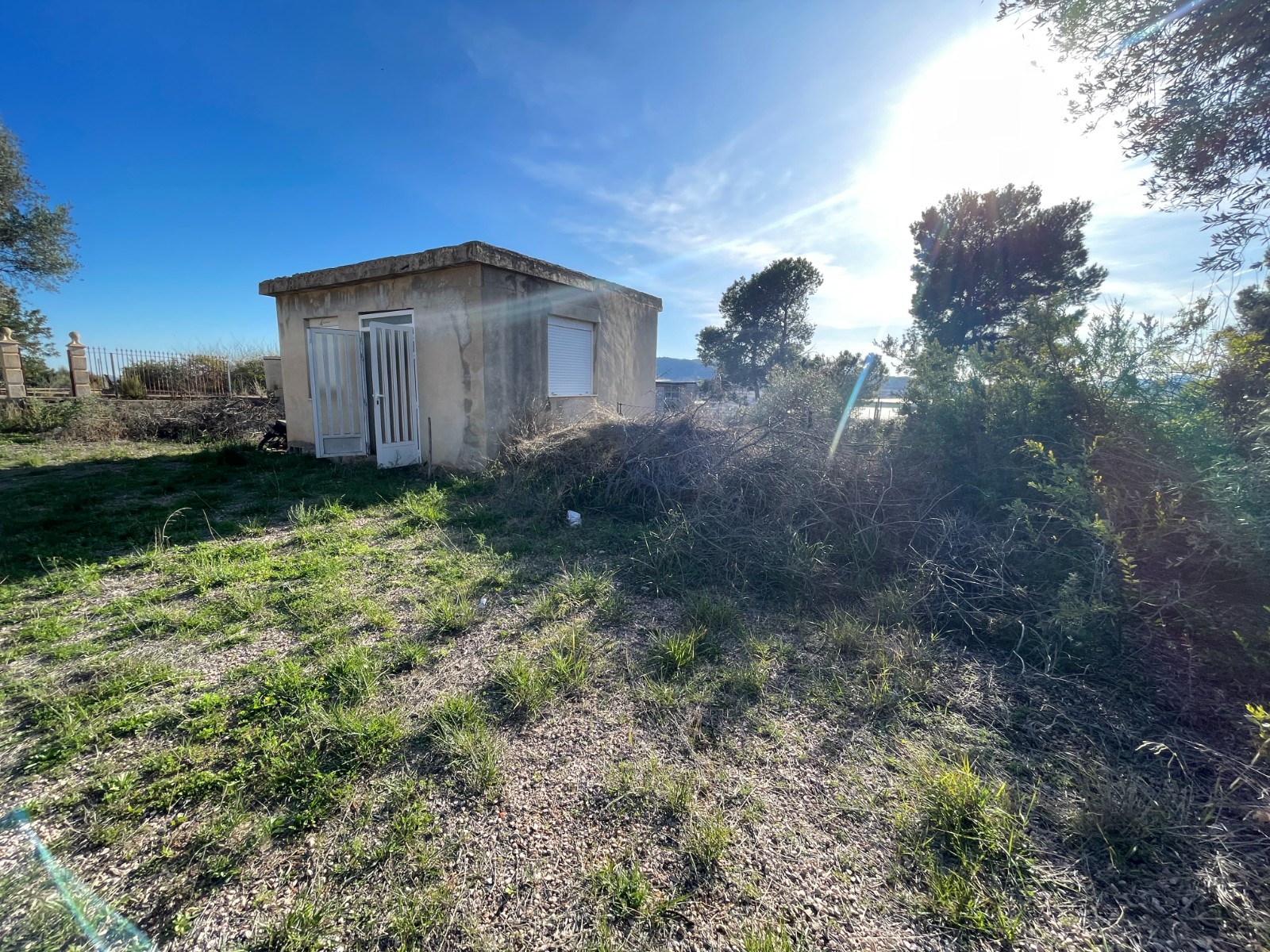 Finca te koop in Aspe