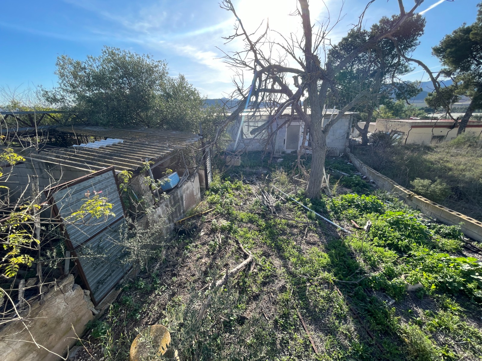 Finca te koop in Aspe
