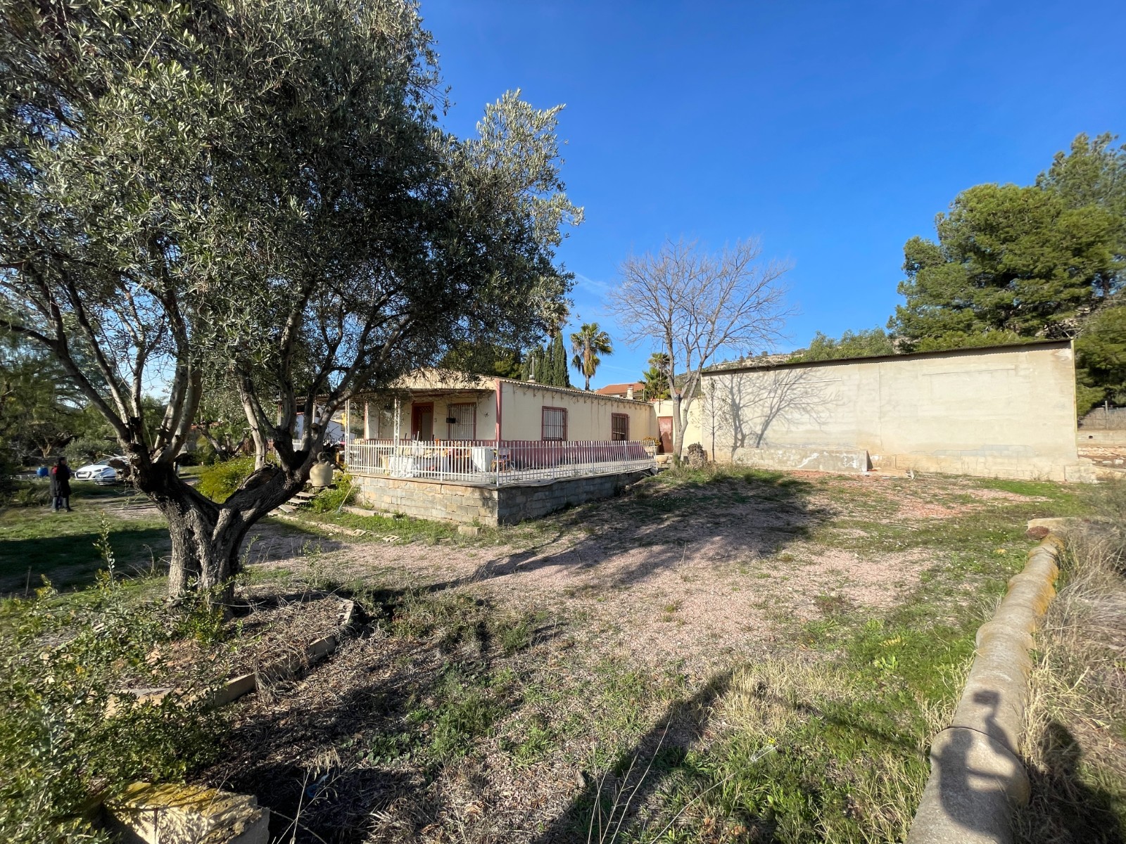 Finca te koop in Aspe