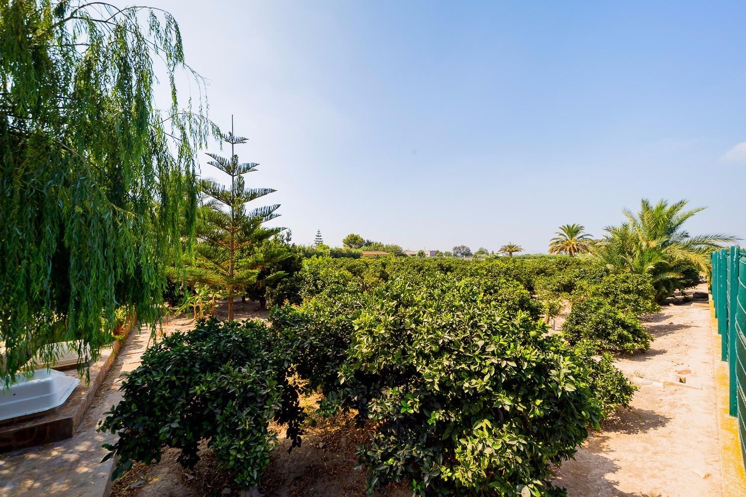 Finca te koop in Almoradí