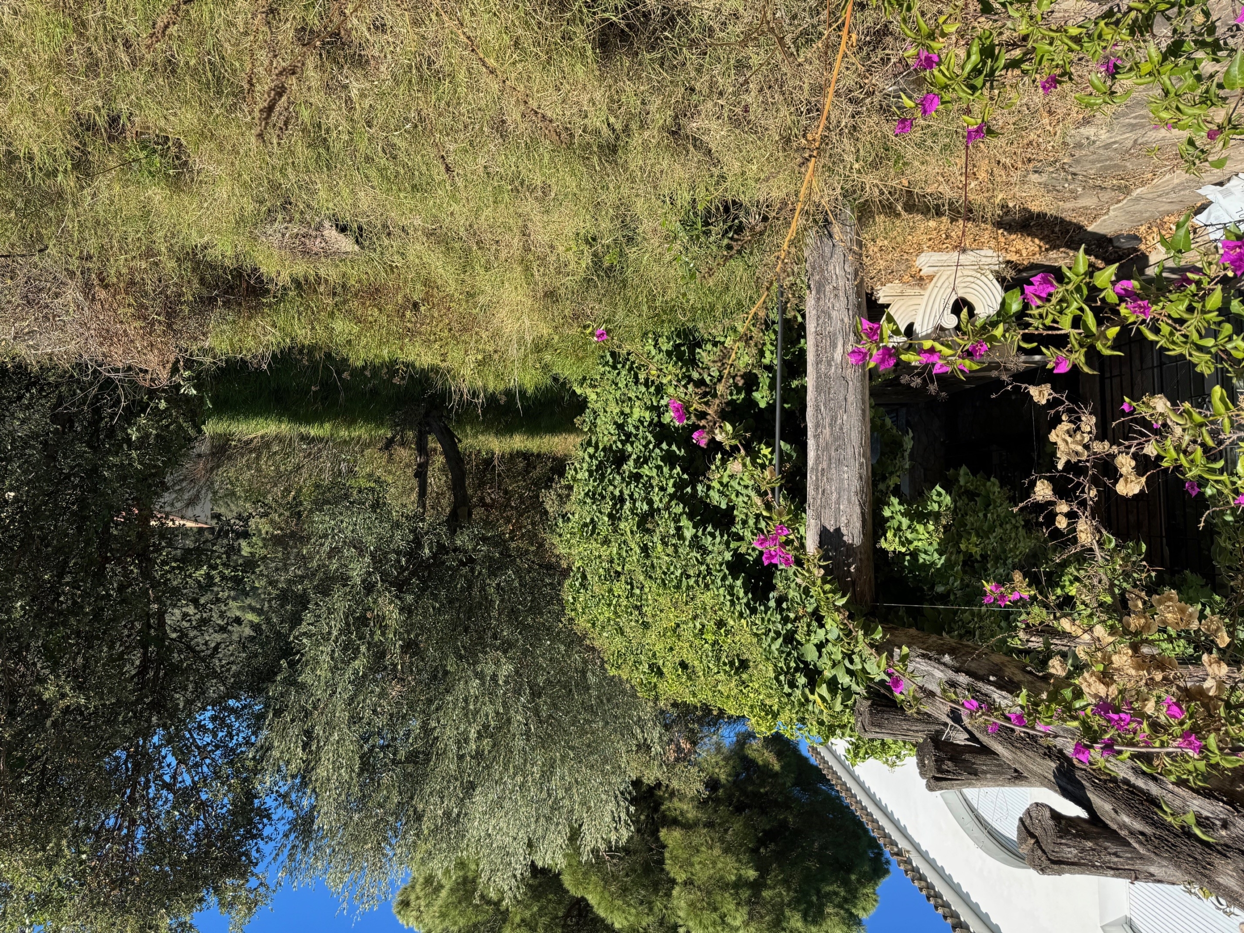 DP-24-5106-4 Villa te koop in Santa Cristina D’Aro