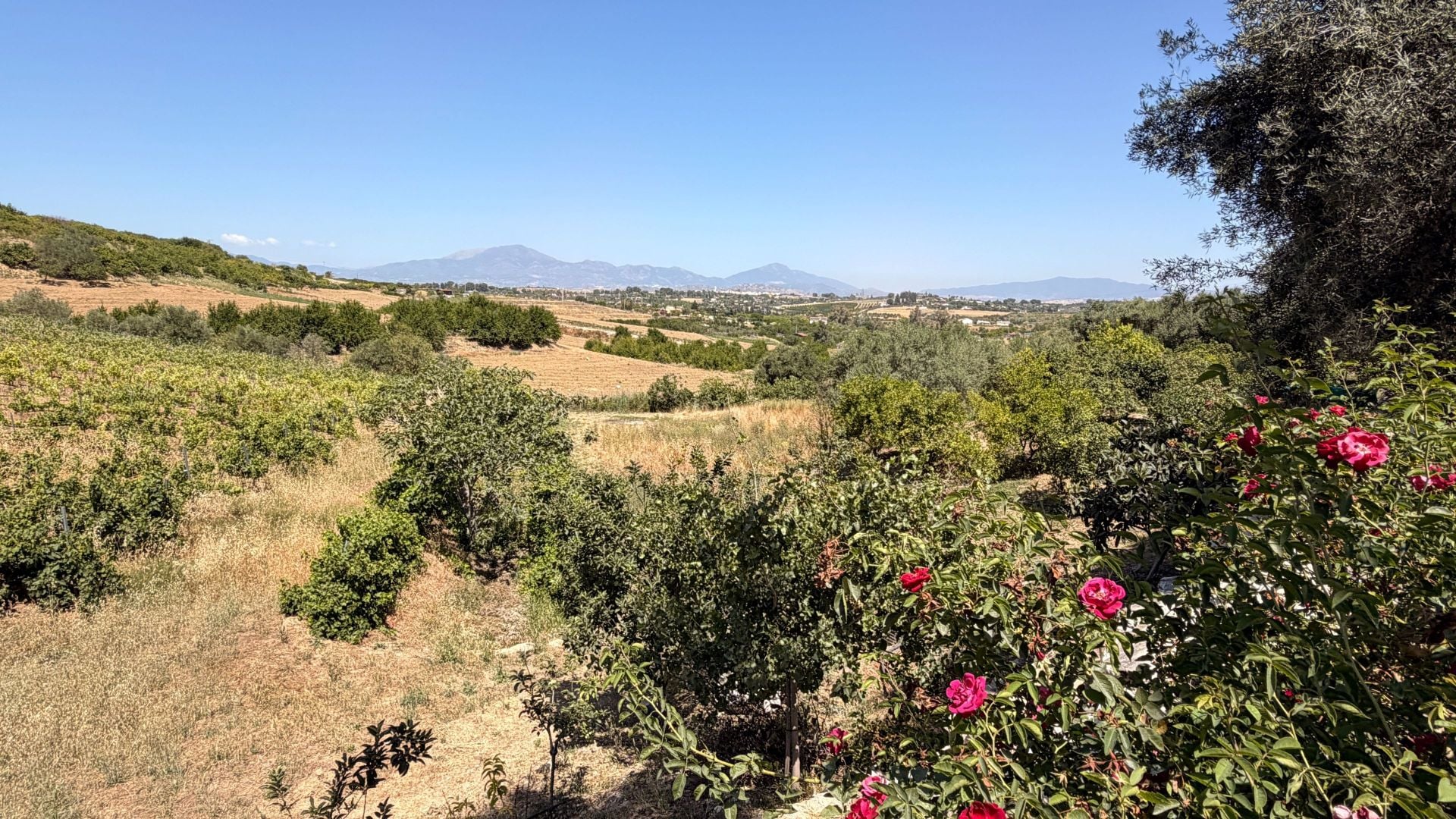 Finca te koop in Alhaurín el Grande