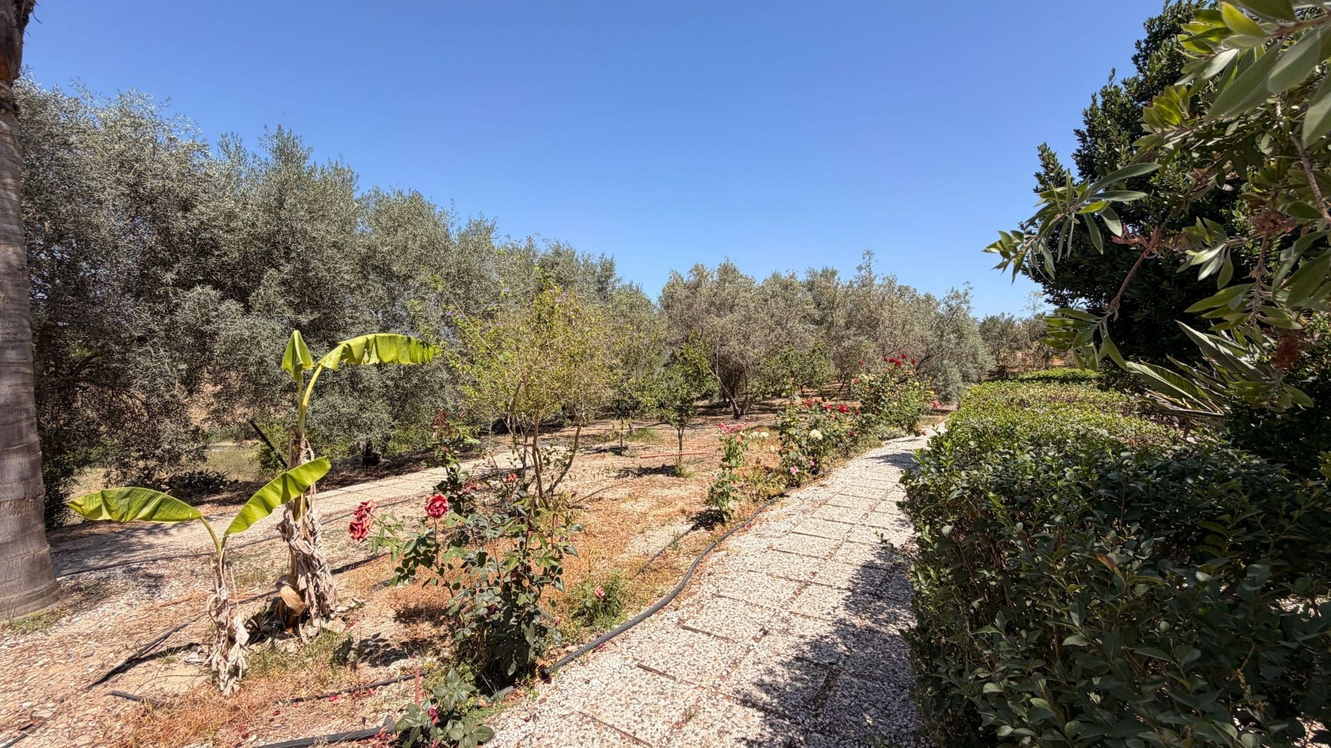Finca te koop in Alhaurín el Grande