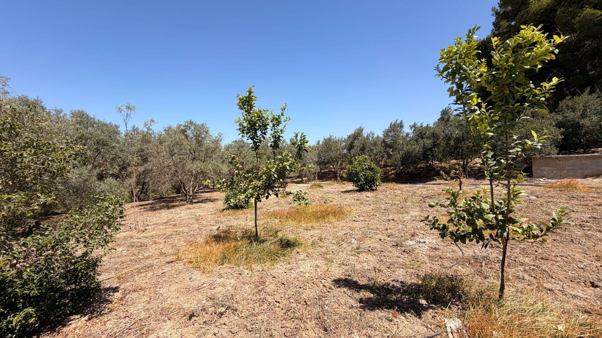 Finca te koop in Alhaurín el Grande
