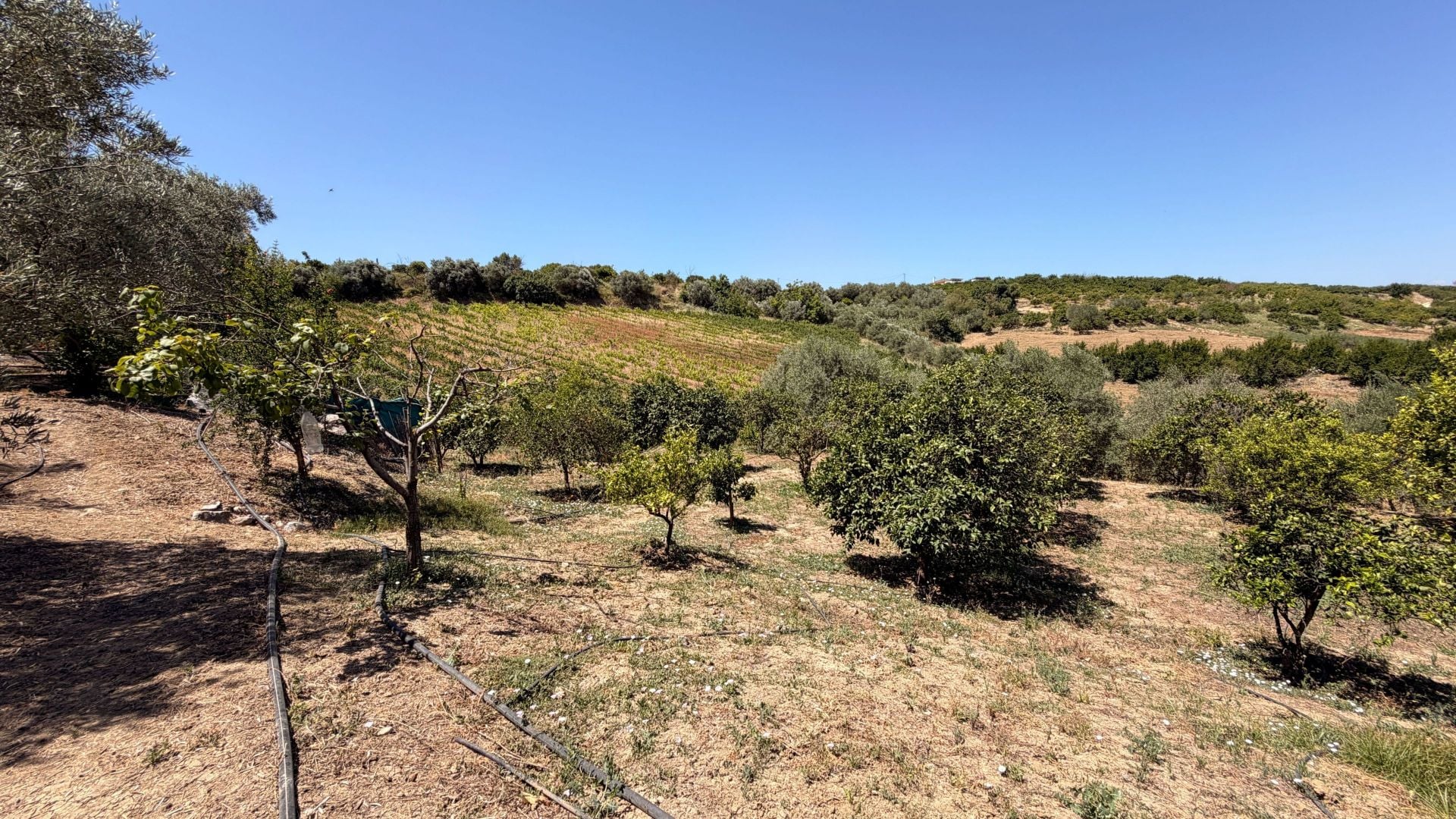 Finca te koop in Alhaurín el Grande