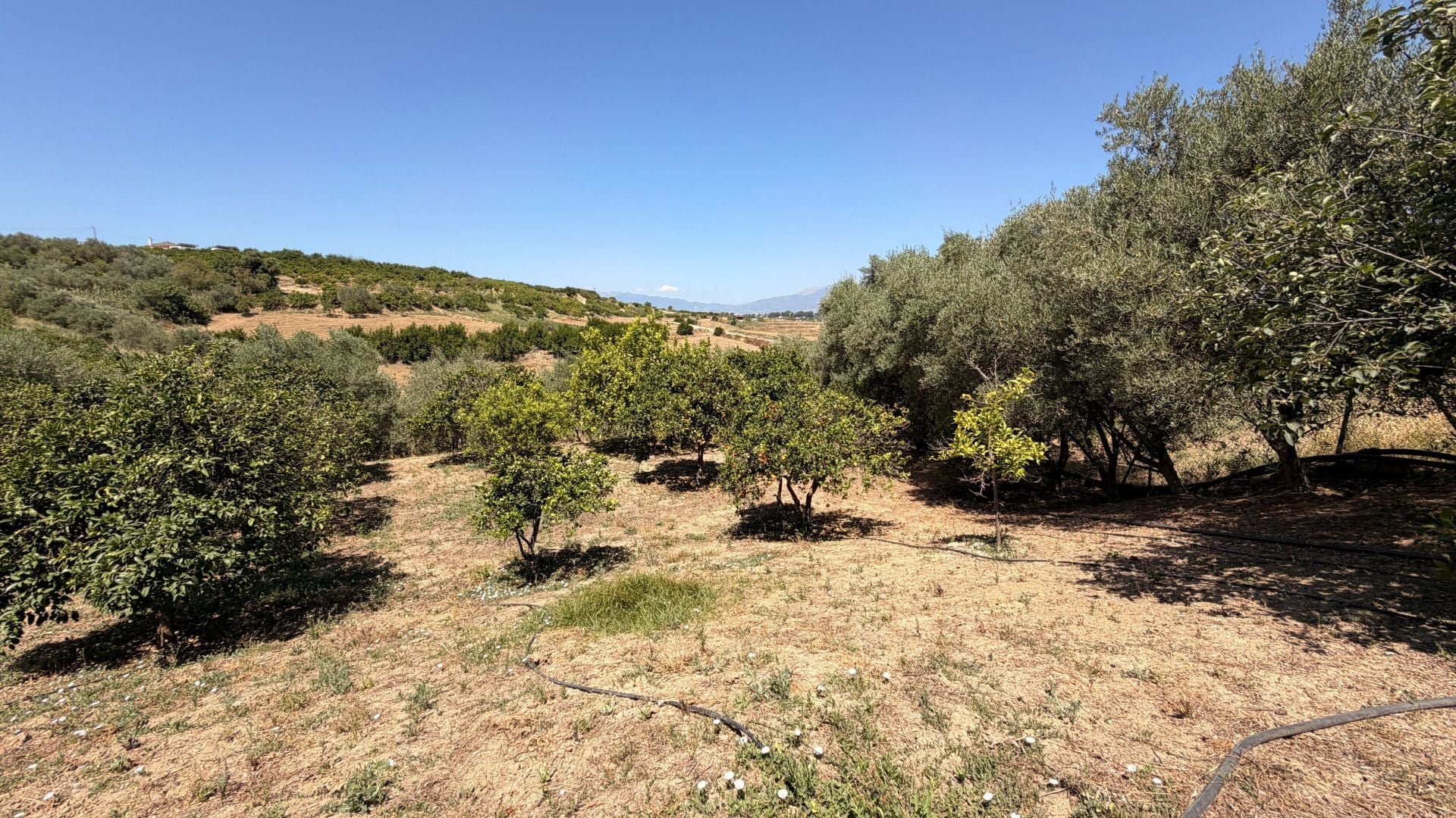 Finca te koop in Alhaurín el Grande