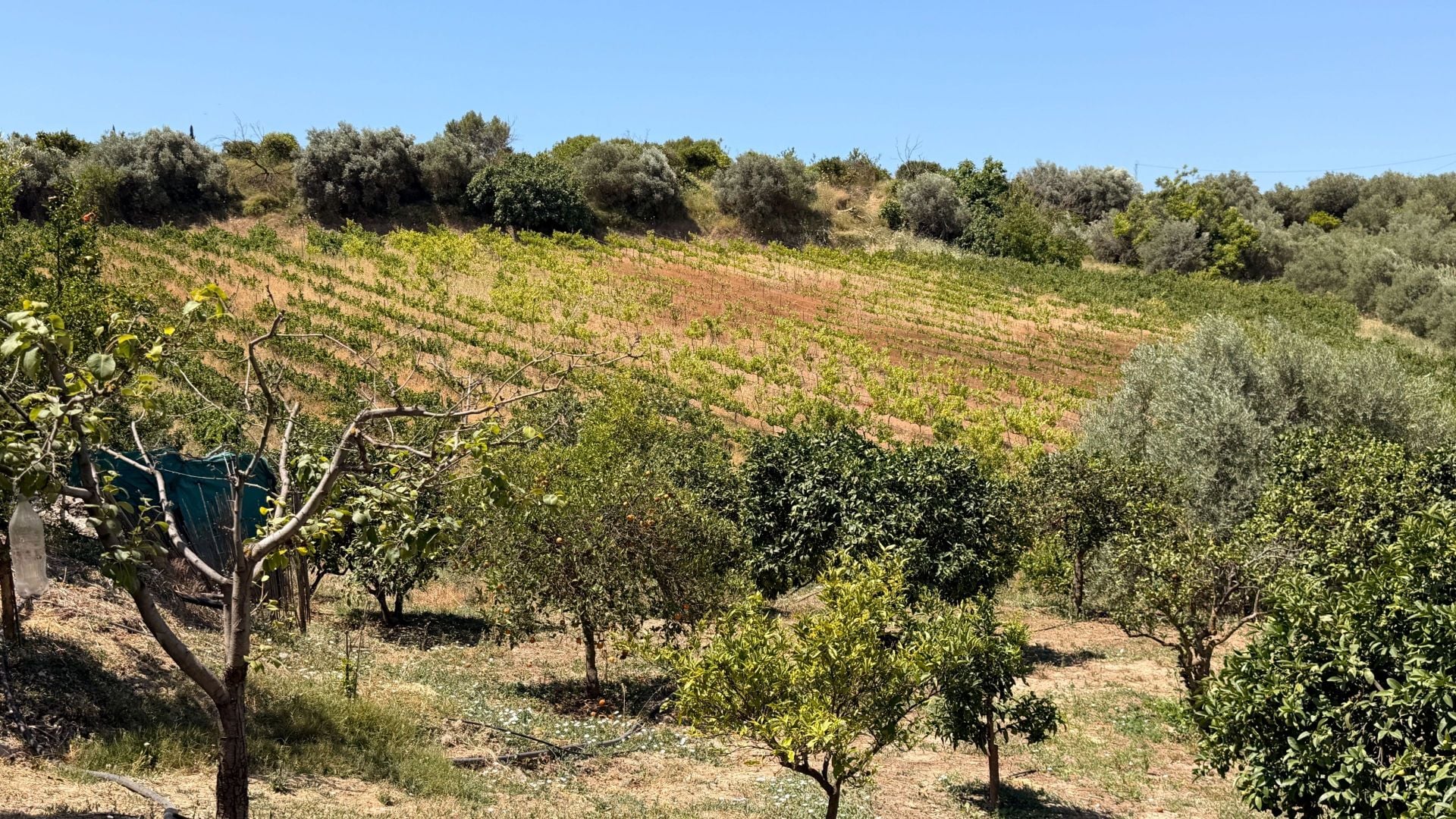 Finca te koop in Alhaurín el Grande