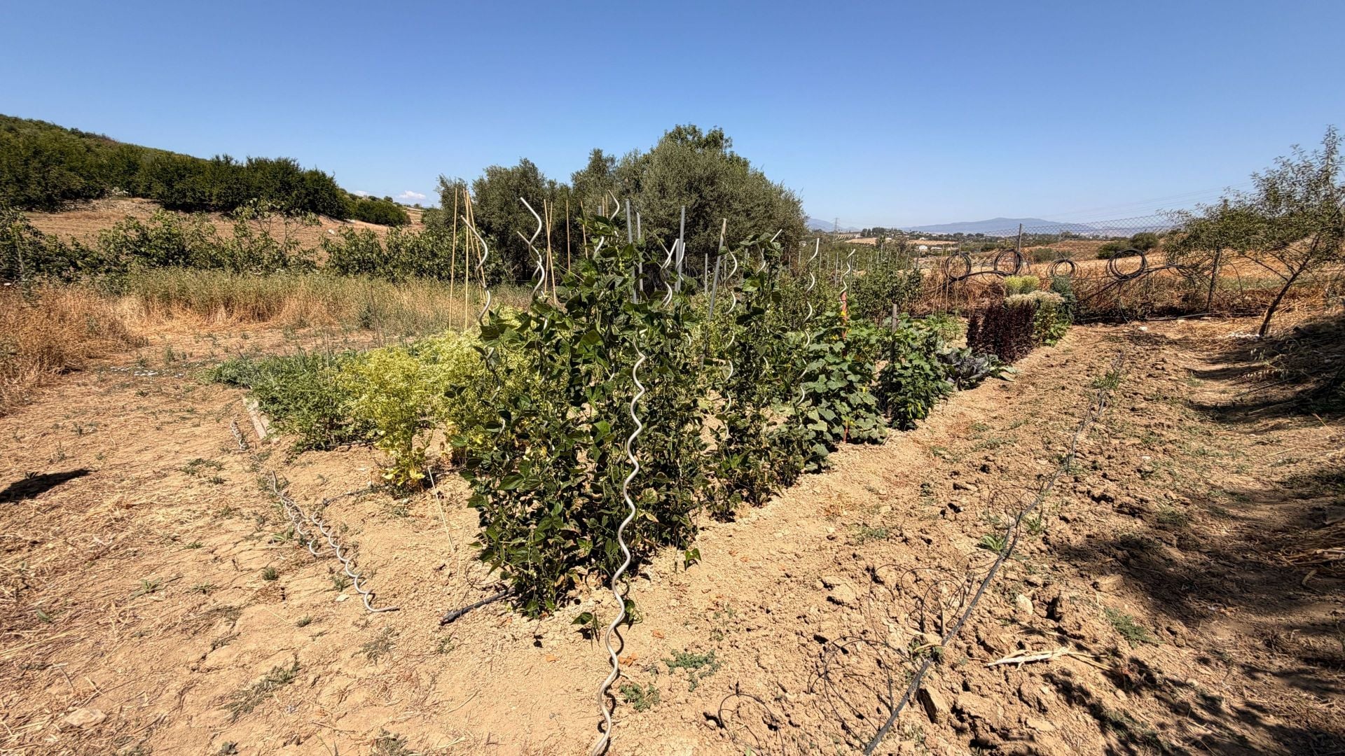 Finca te koop in Alhaurín el Grande